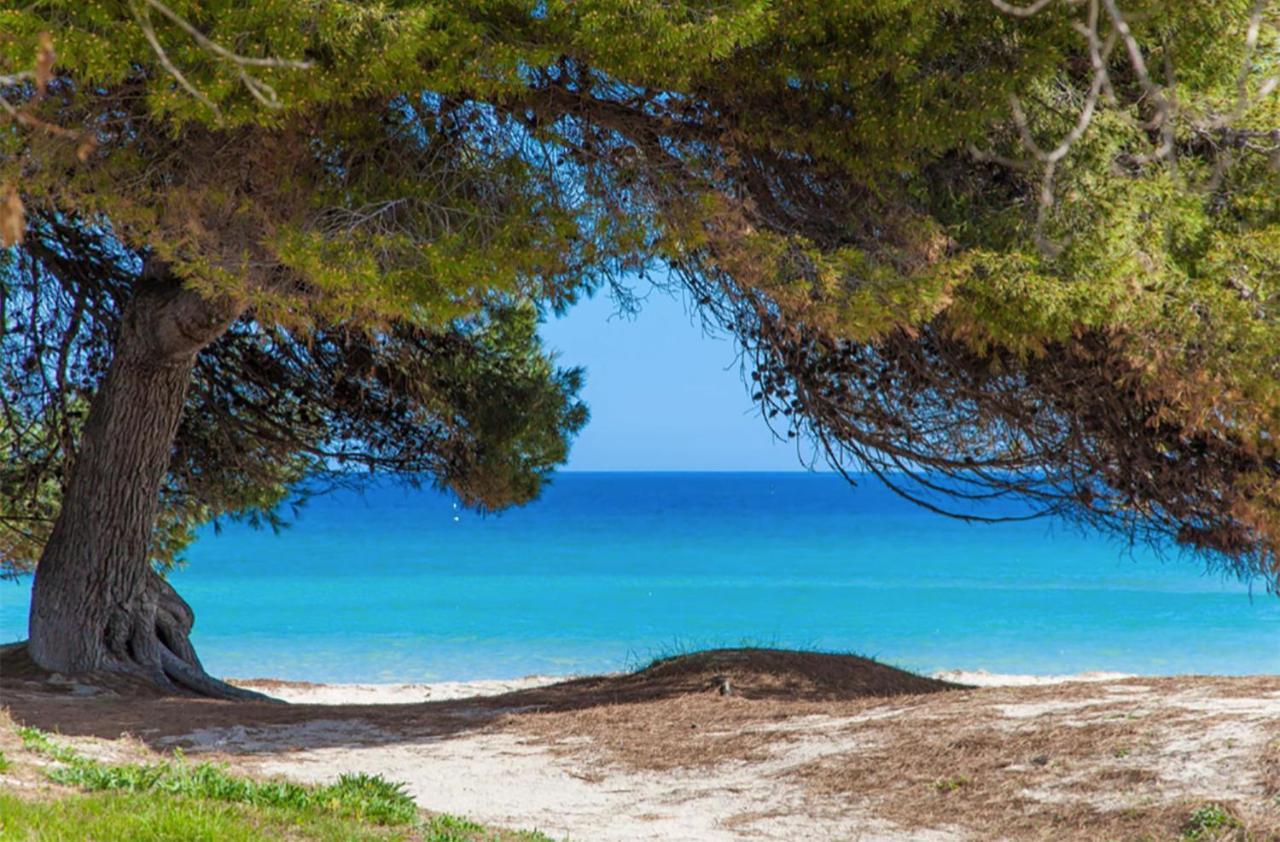 Apartment Countess Garden 2-1, Sun Of The Bay Vidalba 1, At Alcudia Beach Port de Alcudia  Ngoại thất bức ảnh